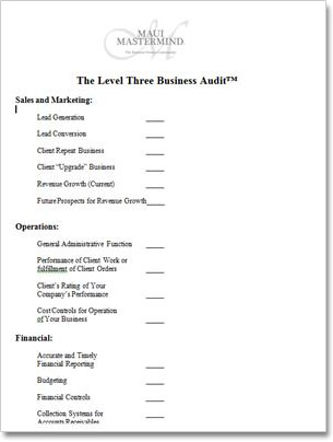 L3 Business Audit